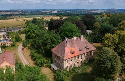 Schloss Kostrzyna, Niederschlesien