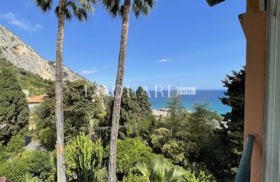 Villa storica in vendita Menton, Provenza-Alpi-Costa Azzurra, Foto 12/19