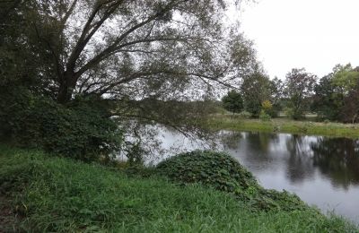 Château à vendre Łęg, Grande-Pologne, Parc