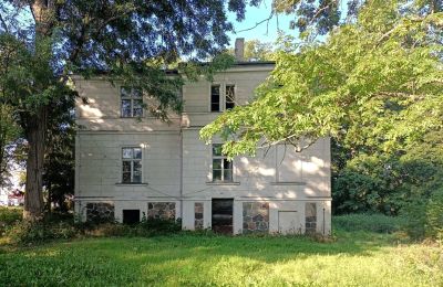 Manoir à vendre Goniembice, Dwór w Goniembicach, Grande-Pologne, Vue latérale