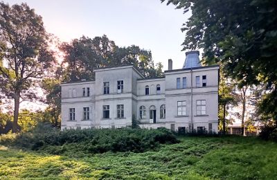 Manoir à vendre Goniembice, Dwór w Goniembicach, Grande-Pologne, Dwór w Goniembicach 2025