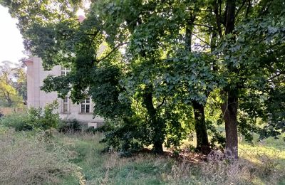 Herrenhaus/Gutshaus kaufen Osieczna, Großpolen, Park