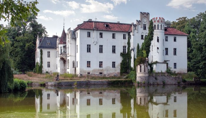 Schloss Dobrocin 3