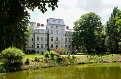 Château à vendre Malina, Pałac Malina, Łódź, Parc