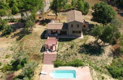 Landhaus kaufen Montescudaio, Toskana, RIF 2185 Blick von oben