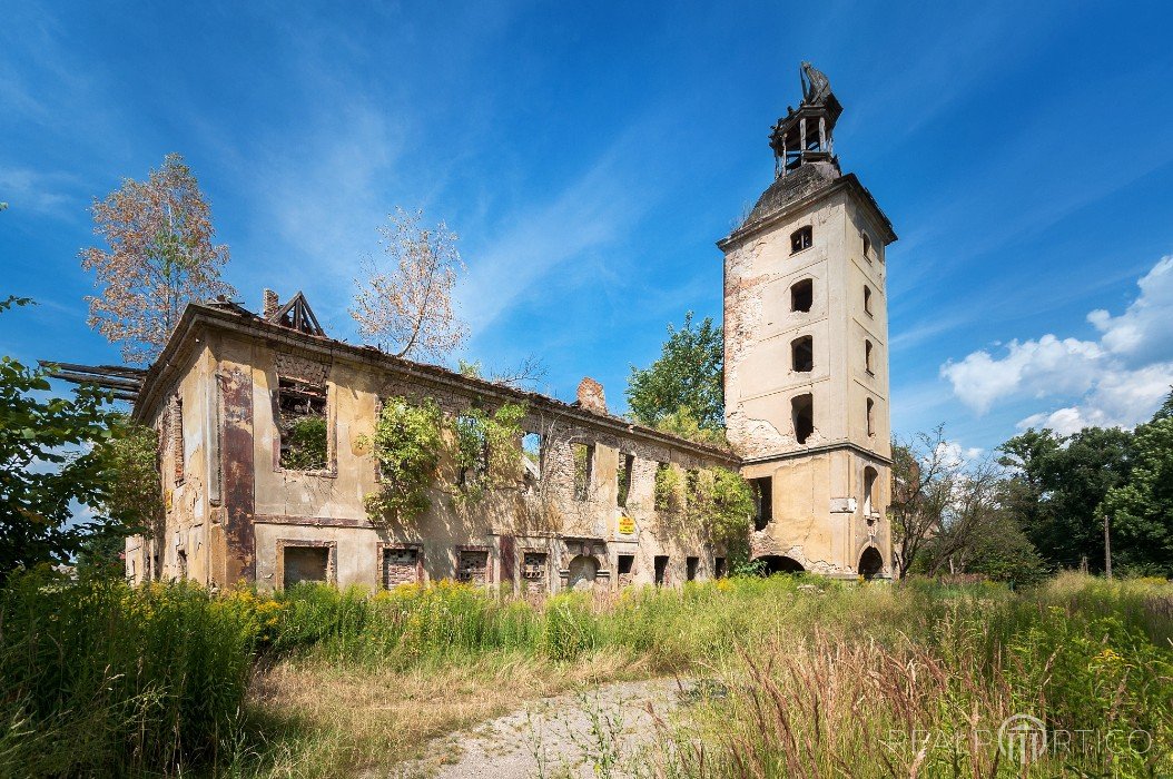 Schlossruine in Florsdorf (Żarska Wieś), Żarska Wieś